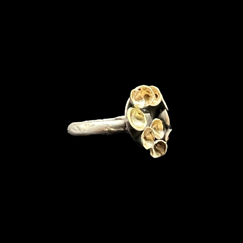 SEAPODS RINGS - CIRCLE