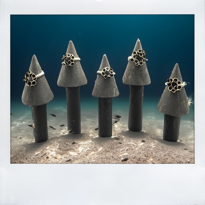 SEAPODS RINGS - CIRCLE